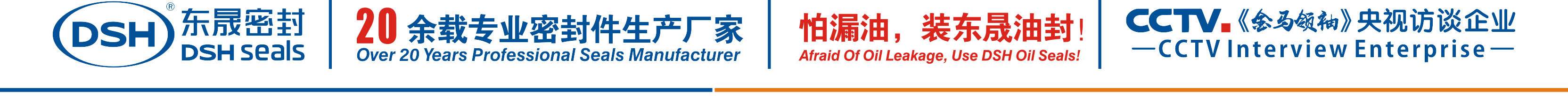怕漏油，裝東晟油封！